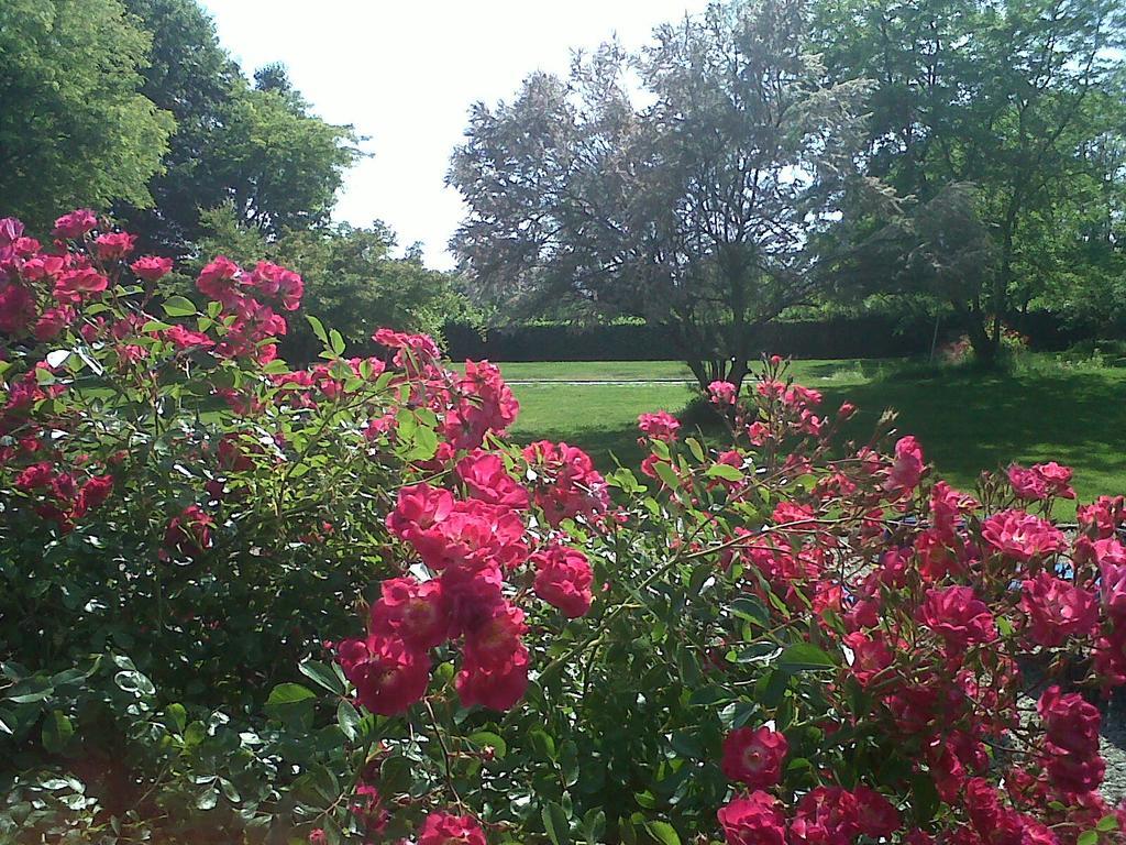 Country House Διαμέρισμα Zerbolo Εξωτερικό φωτογραφία